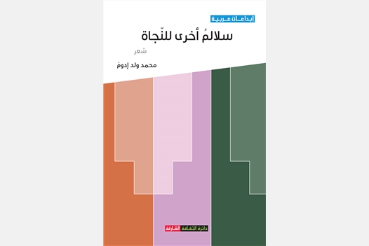 سلالم أخرى للنجاة
