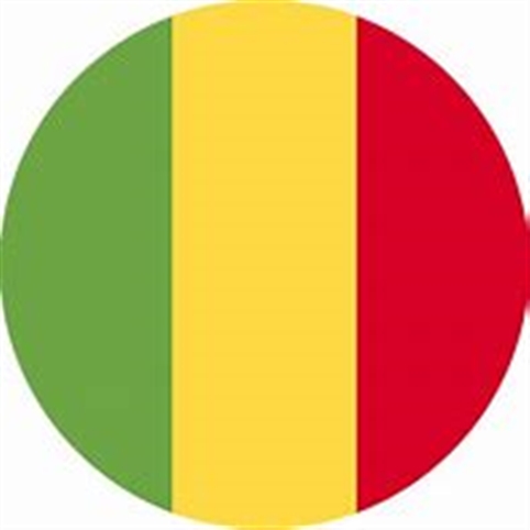 ملتقى الشعر العربي في مالي 4